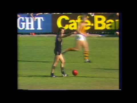 1984 Round 8 Carlton Highlights - Carlton vs Hawthorn