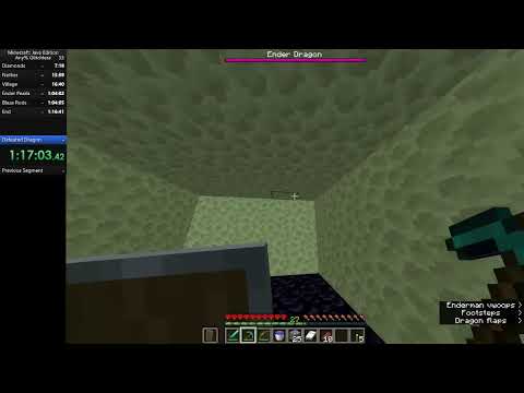 Minecraft  Speedrun 1.14.4 Hardcore 2019Q4 Set Seed Glitchless Attempts