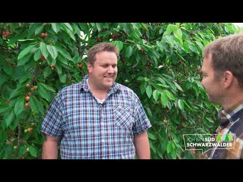 Südschwarzwälder Homestories – Obsthof Brändlin 🍒 – Folge 14