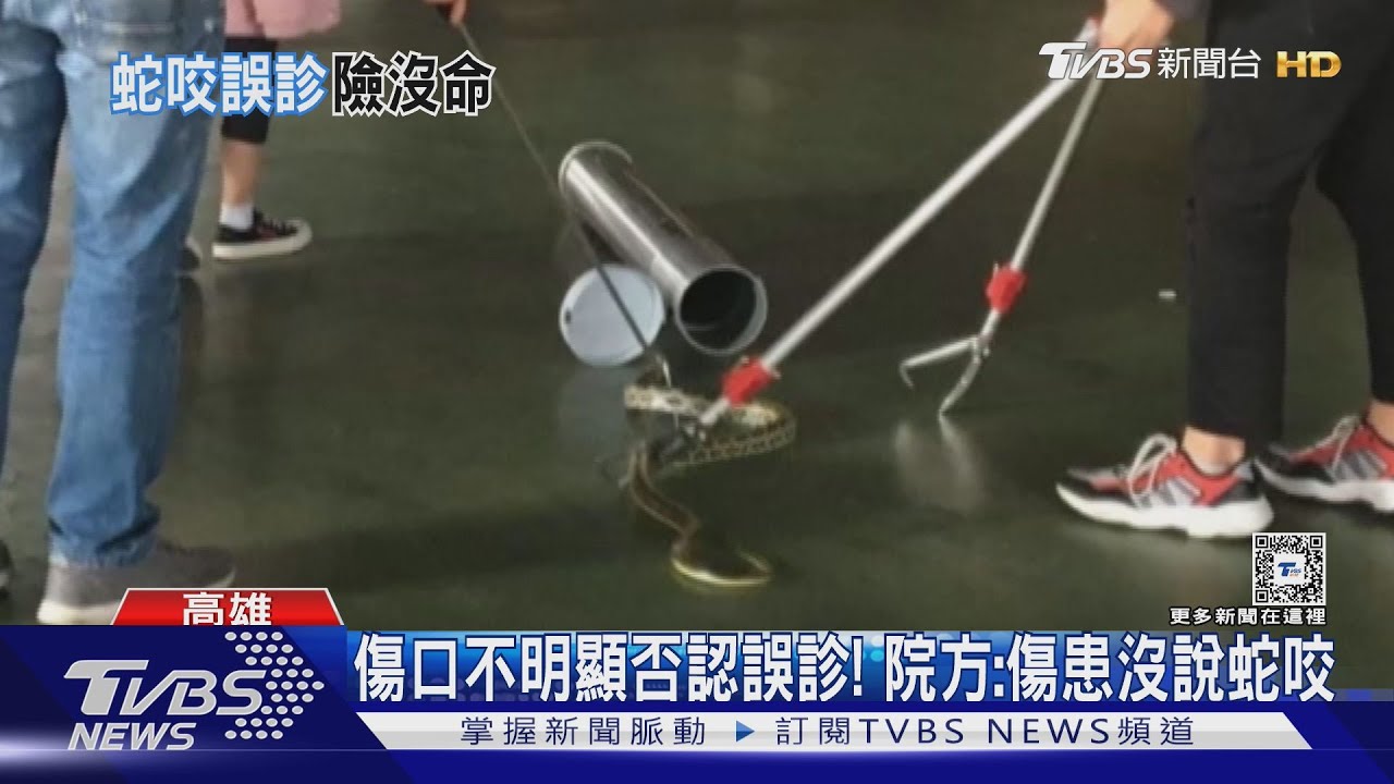 這差太多了吧!疑遭龜殼花咬傷 家屬控醫院判「草割傷」
