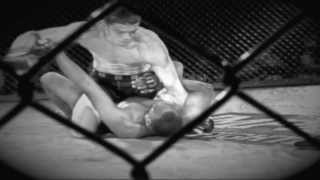 HD Fight Series