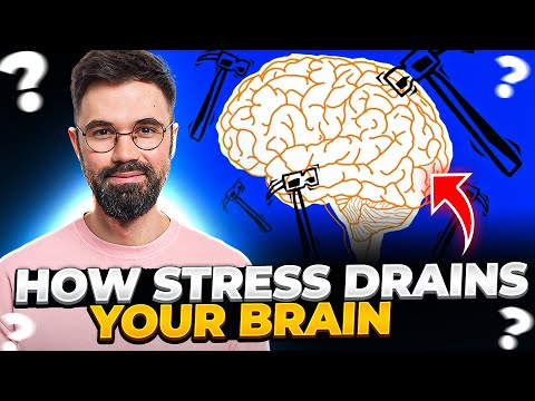 How Stress Drains Your Brain and What to Do About It