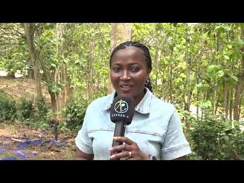 La Revue d'Actualités du 6 mars 2026