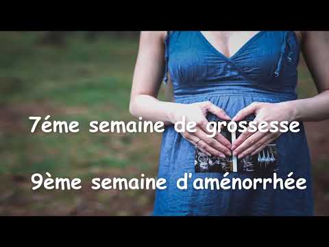 7éme semaine de grossesse   9ème semaine d’aménorrhée  1080 X 1920