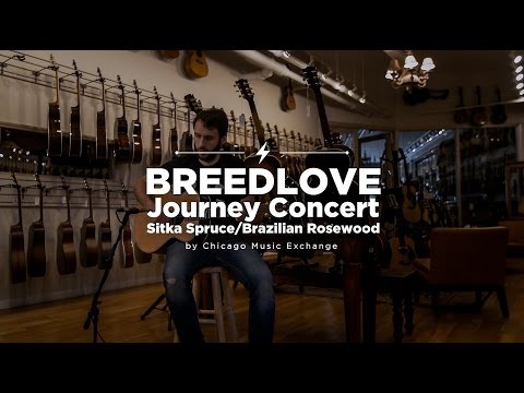 2016 Breedlove Journey Concert LTD #13 of 50 – Brazilian Rosewood – COA/Build Sheet/CITES image 23