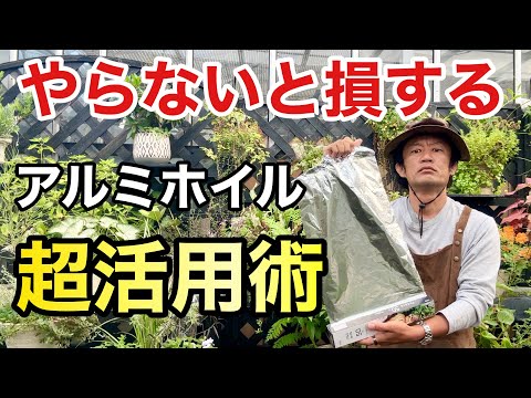 園芸 悪臭を放つクレロデンドロン