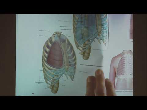 12.11.2018 Soustava kosterní a svalová - doc. RNDr. Pavel Fiala, CSc.