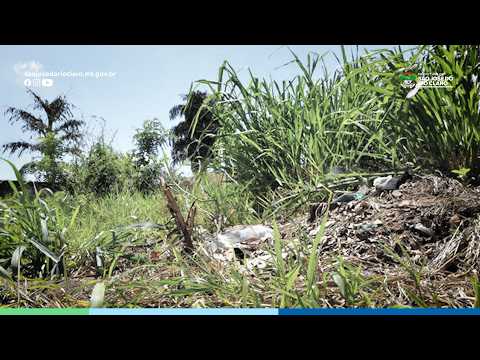 🚨 Terrenos sujos vão gerar MULTA em São José do Rio Claro!