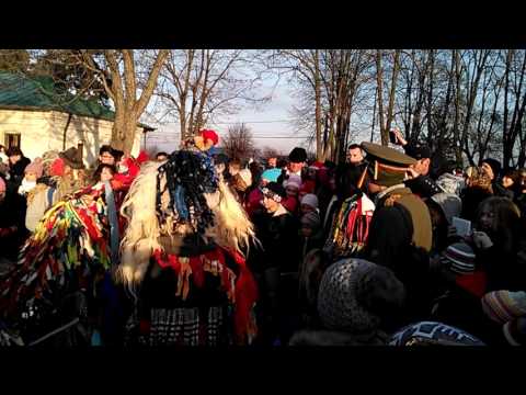 Boul de la Sinesti ,Iasi.