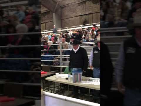 JP RANCH RODEO 2018-www.jpranchrodeo.com