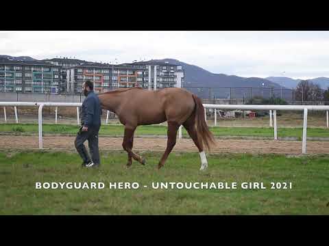 BODYGUARD HERO   UNTOUCHABLE GIRL 2021