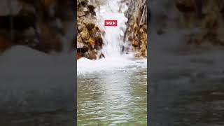 Download lagu Airnya Sejuk amat mp3 Download lagu Airnya Sejuk amat mp3