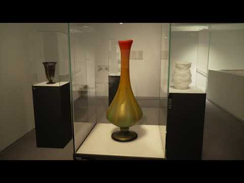 ポットに入った竹 - 天然のプライバシースクリーンとテラスの装飾  庭園