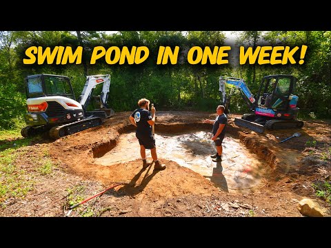 This Isn't Your Average Pond Video (It's Way Better)