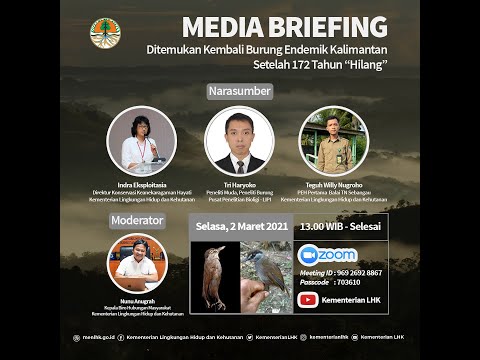 Media Briefing Ditemukan Kembali Burung Endemik Kalimantan Setelah 172 Tahun Hilang