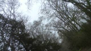 Peace, Love &amp; Smile Photography: Hopes &amp; Dreams