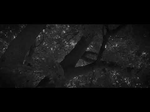 Ann Margaret Hogan - Honeysuckles (Official Video)