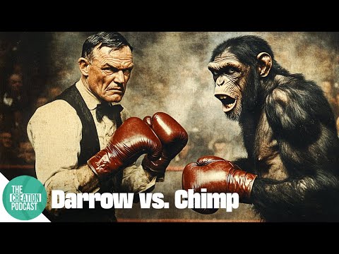 Setting Sights on Scopes: The Truth Behind the Infamous Monkey Trial