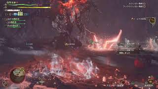 玉付ゾ・シア大狩猟　参加オッケー👌　モンスターハンターワイルズ