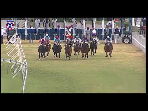 RM33 R3 | Varside | M.Nunes