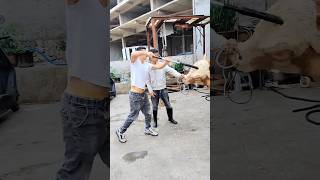 Be Kind to Animals: Avoid Inhumane Slaughtering and Try the Islamic Method (Avoid this one)