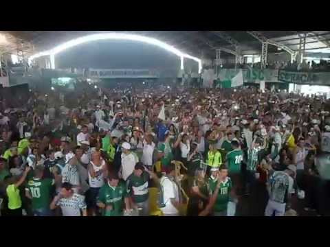 E da lhe, da lhe porco...