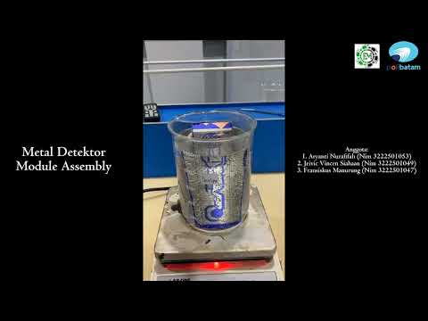 Metal Detector Module Assembly (B)