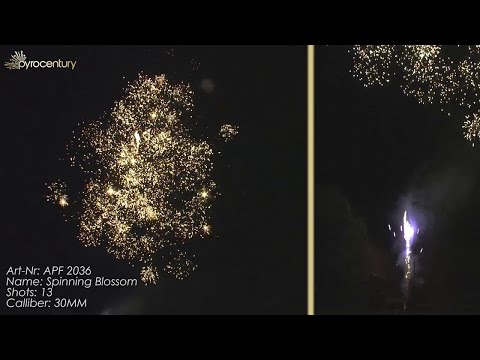 Spinning Blossom - Pyrocentury