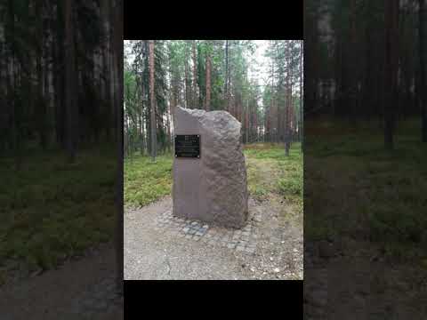 IV-lottien vartiolaulu