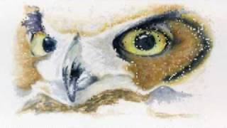 preview picture of video 'Owl Watercolor Painting progression'