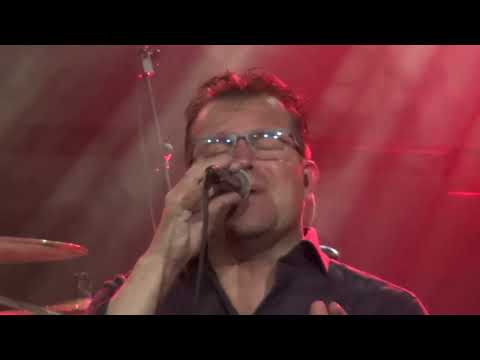 Tribute To The Cats Band \ Michel De Haan -  Scarlet Ribbons