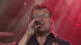 Download lagu Tribute To The Cats Band \ Michel De Haan -  Scarlet Ribbons mp3