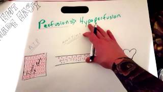 EMT Perfusion & Hypoperfusion / EMT MADE EASY