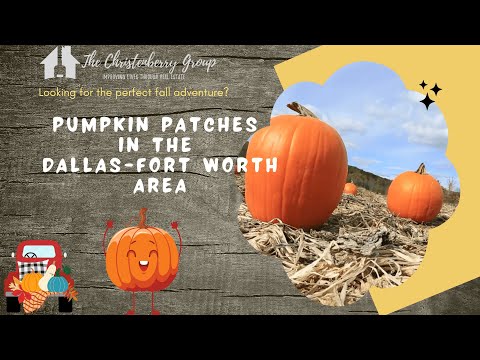 Pumpkin Patches in the Dallas-Fort Worth Area -| The...