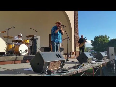 Lamont Cranston - E Jam at Blues on the Chippewa 2015
