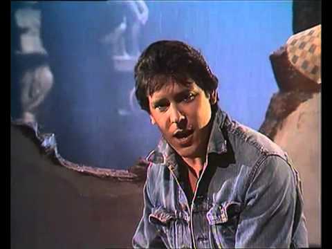 Shakin' Stevens - It's raining