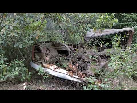 Thumbnail for Decomposed Simca 1100 ending its days in the woods by Simca