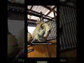 These two horses crack me up #horse #pony #equestrian #funnyhorse #shorts #ilovehorses