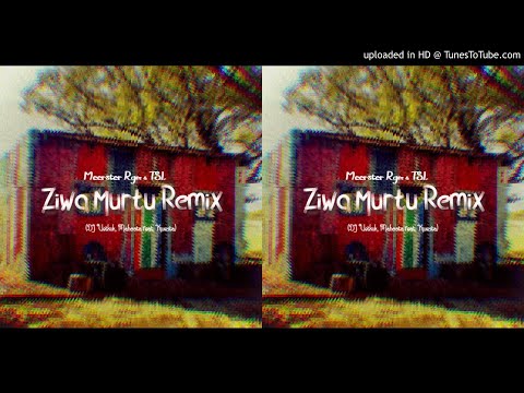 DJ Vetkuk, Mahoota ft. Kwesta - Ziwa Murtu (Remixed by Meerster Rgm & TSL)