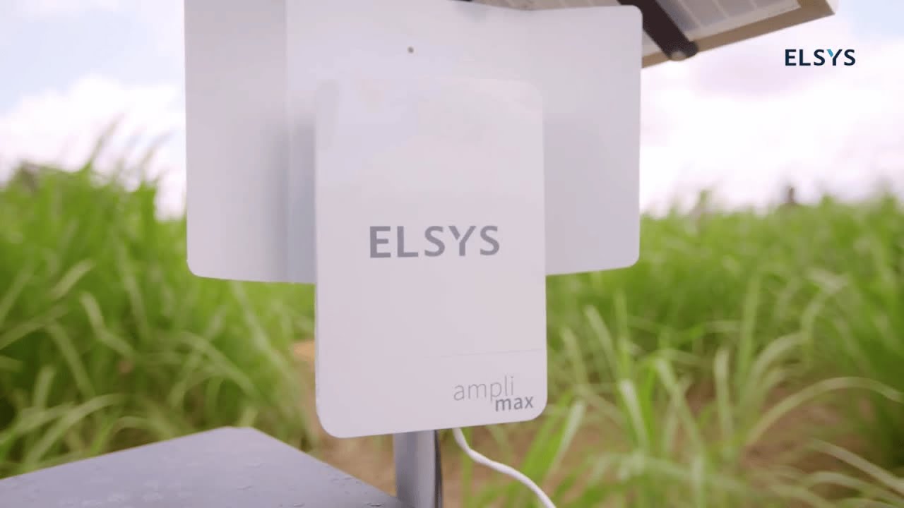 Parceria leva conectividade e tecnologia digital ao manejo de pragas em pequenas propriedades rurais