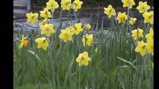 God&#39;s Counting on Me HATU&#39;s version. Words and music by Lorre Wyatt and Pete Seeger 2010