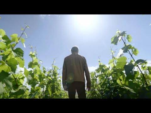 Moët & Chandon Grand Vintage Collection: Stories of Exceptional Years