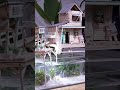 Tiny House With Real Fish