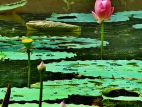 JURP PHEAK - SAMOUTH & PEN RAN