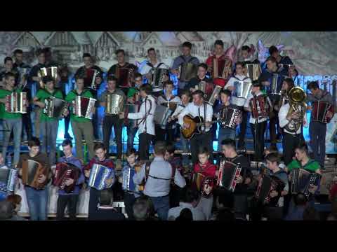 Družina Sotošek, zbor OŠ Krško in mladi harmonikarji - Krško, moje mesto (v živo)
