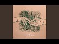 Vetiver