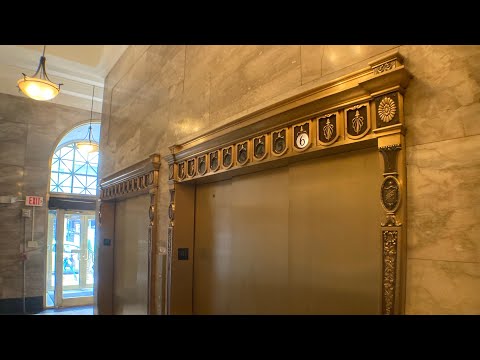 Amazing Early 1900s-1920s Tastefully Modernized Otis Traction Elevators In New Haven CT