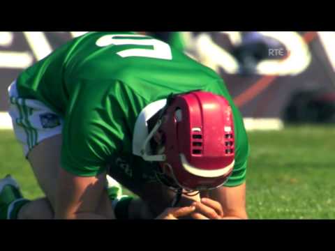 Glory days as Limerick win first Munster hurling title in 17 years