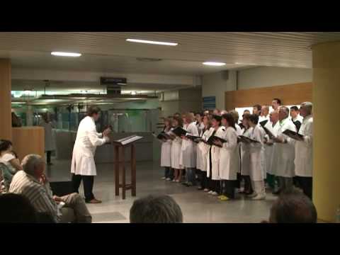 20080611172059(VaPensiero).mpg