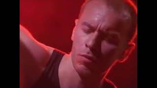 THE THE - THE MERCY BEAT (live)